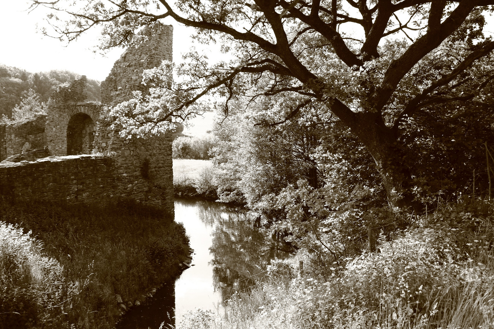 Ruine der Wasserburg Baldenau