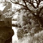 Ruine der Wasserburg Baldenau