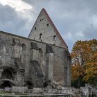 Ruine des Brigittinenklosters, Pirita, Tallinn