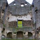 Ruine des Kloster Marienthal