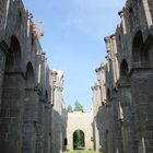 Ruine des Klosters Arnsburg