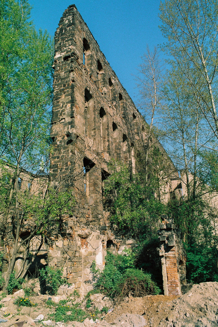 Ruine des Taschenberg-Palais