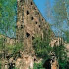 Ruine des Taschenberg-Palais