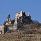 Ruine Dürnstein