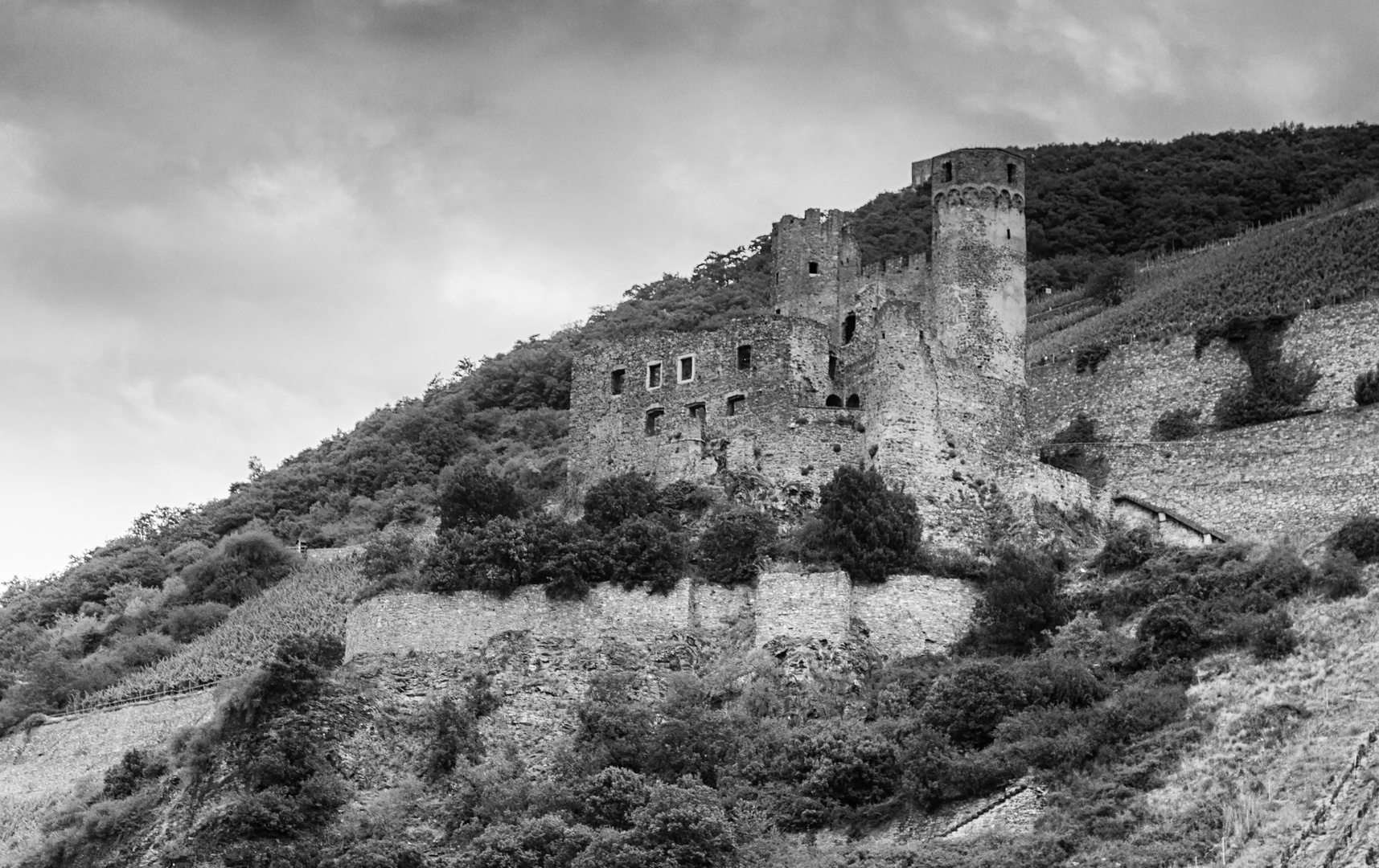 Ruine Ehrenfels am Binger Loch