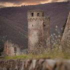 Ruine Ehrenfels bei Assmannshausen