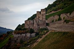 Ruine Ehrenfels