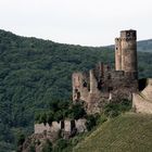 Ruine Ehrenfels