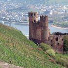 Ruine Ehrenfels