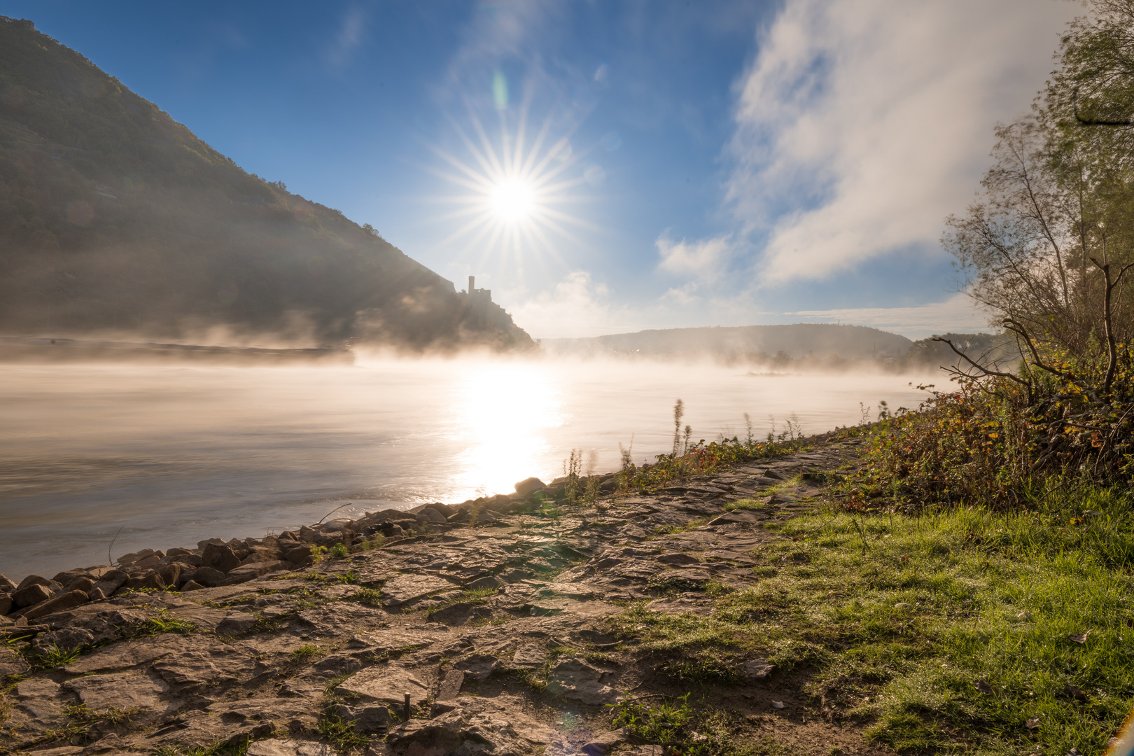 Ruine Ehrenfels im Morgennebel