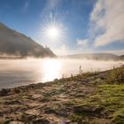 Ruine Ehrenfels im Morgennebel