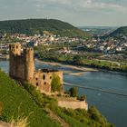 Ruine Ehrenfels vor Bingen (16)