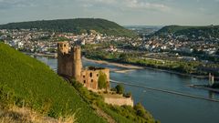 Ruine Ehrenfels vor Bingen (16)