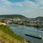 Ruine Ehrenfels vor Bingen (7)