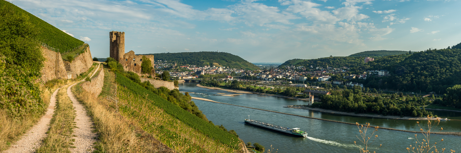 Ruine Ehrenfels vor Bingen (7)