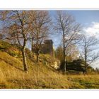 Ruine Epprechtstein im Fichtelgebirge