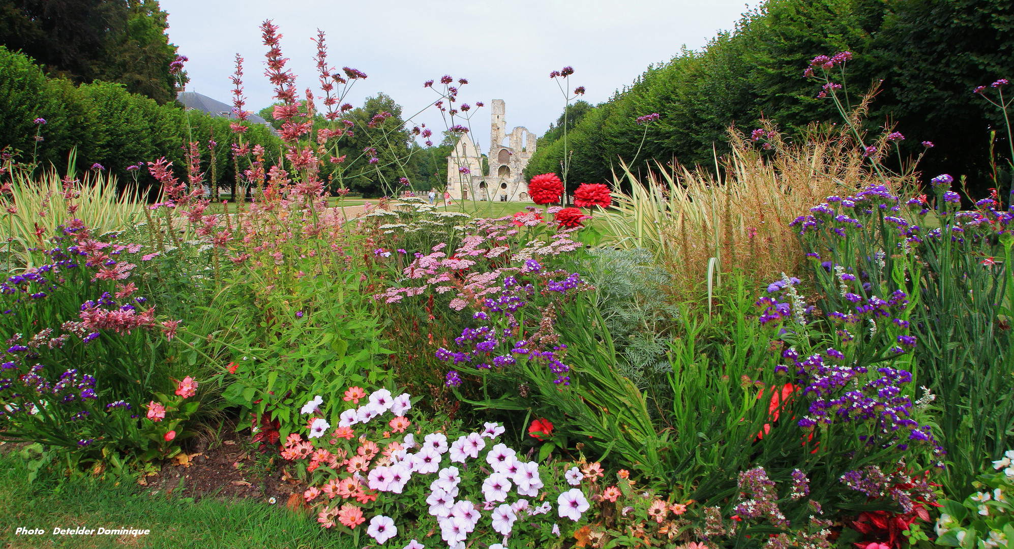 Ruine et fleurs