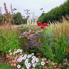 Ruine et fleurs