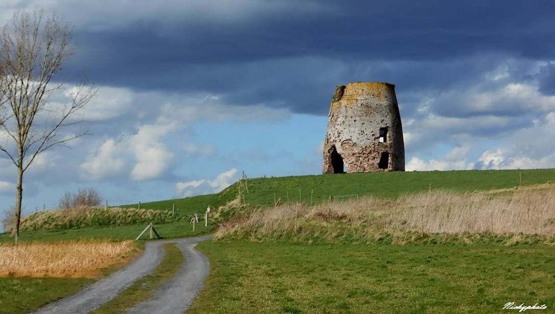 ruine et nature