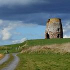 ruine et nature