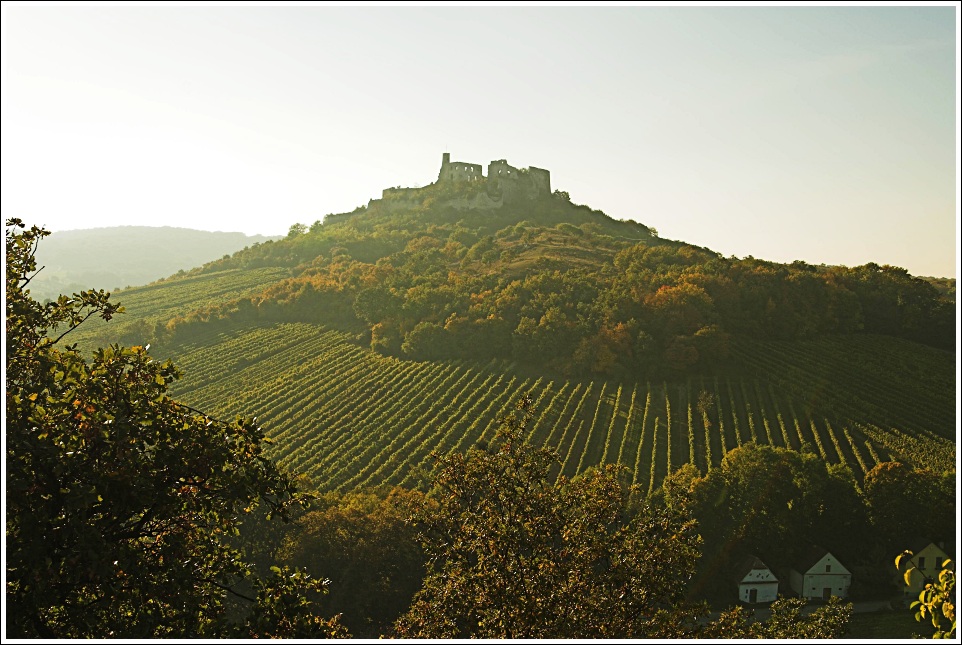 Ruine Falkenstein