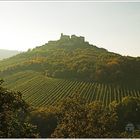 Ruine Falkenstein