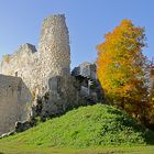 Ruine Falkenstein (Donautal)