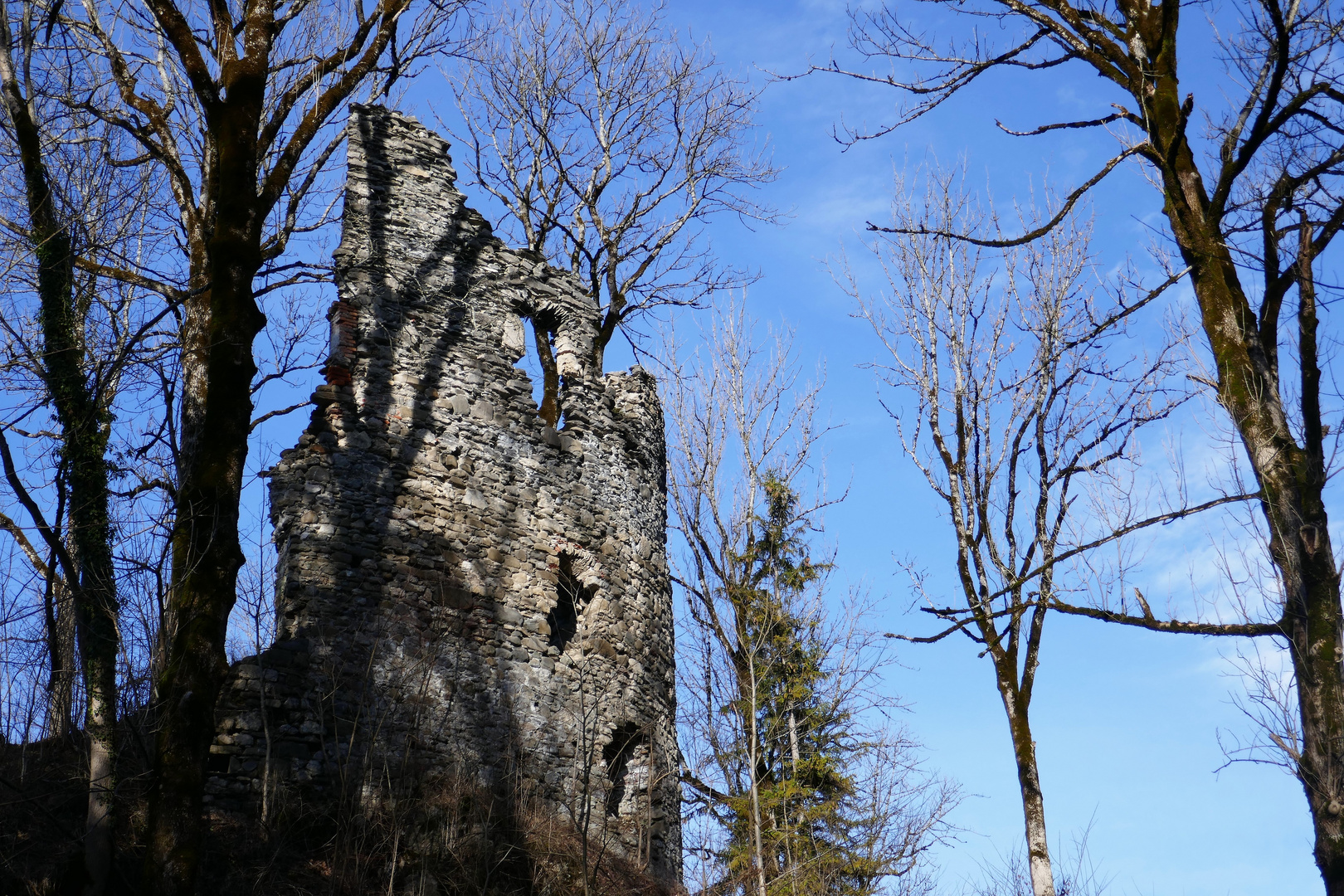 Ruine Fluhenstein