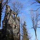 Ruine Fluhenstein