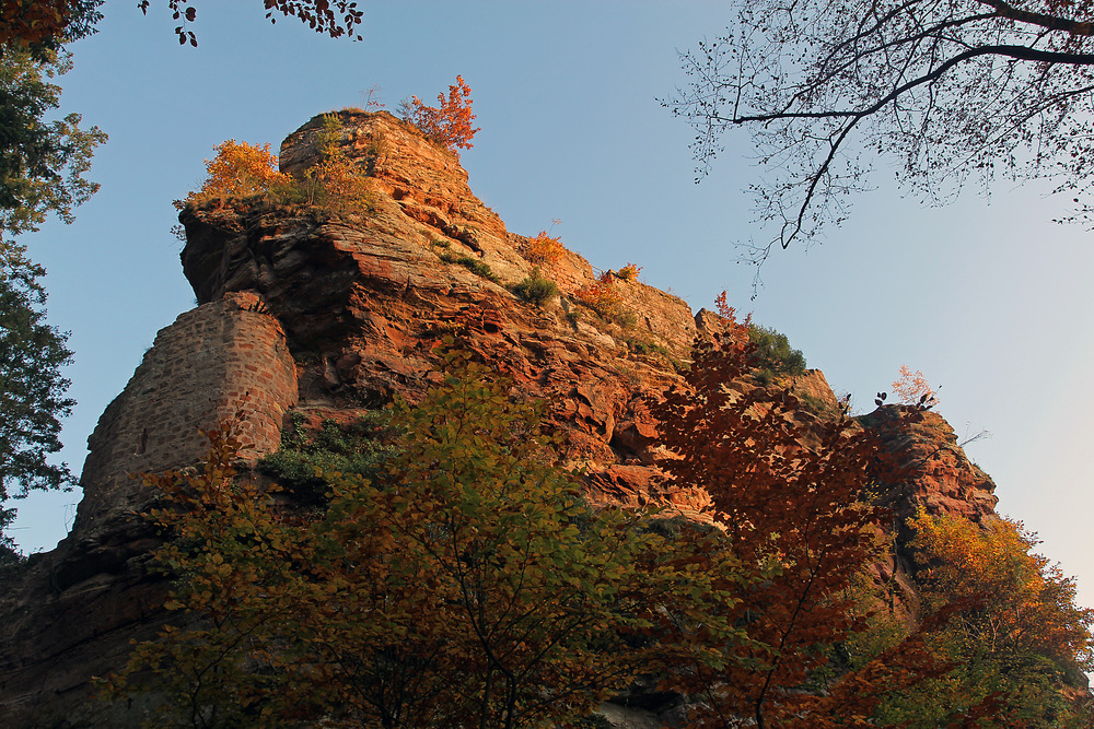 Ruine Frönsburg 3