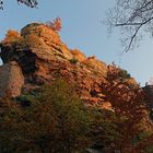 Ruine Frönsburg 3