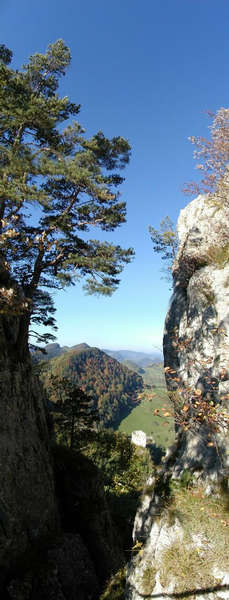 Ruine Gilgenberg