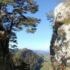 Ruine Gilgenberg