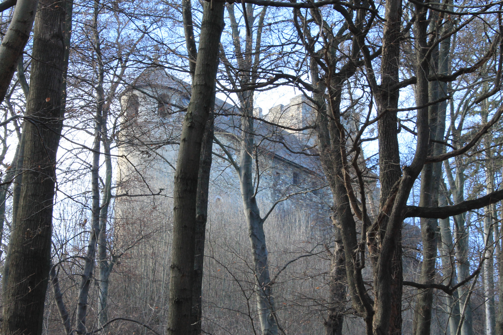 Ruine Gösting, Graz, Austria, Europe