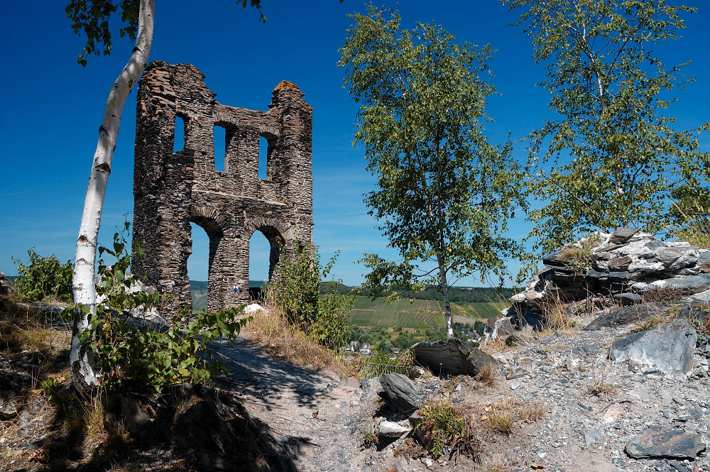 Ruine Grevenburg