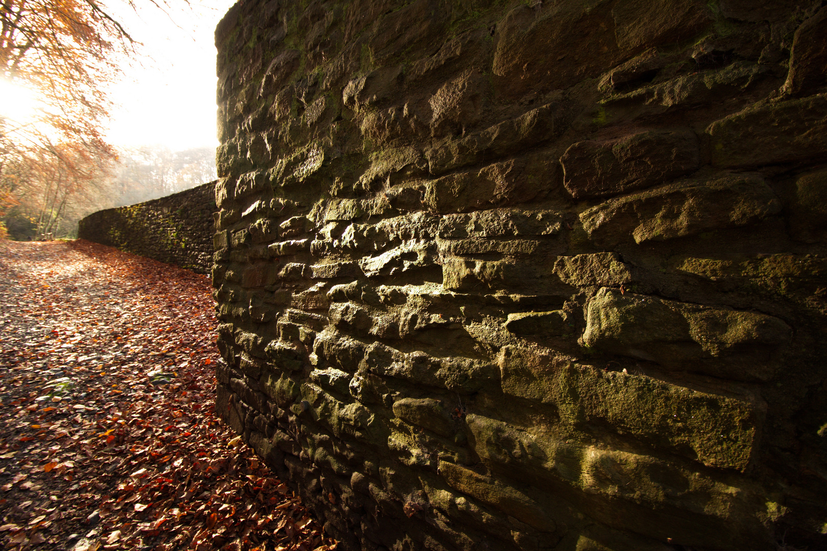 Ruine hardenstein (2)