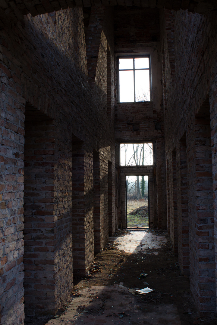 Ruine Haus Demmin 2