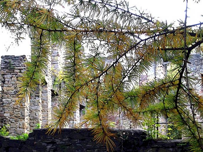 Ruine "Haus Weitmar" in Bochum