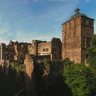 Ruine Heidelberg