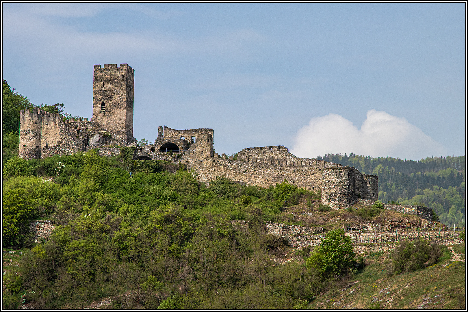 Ruine Hinterhaus