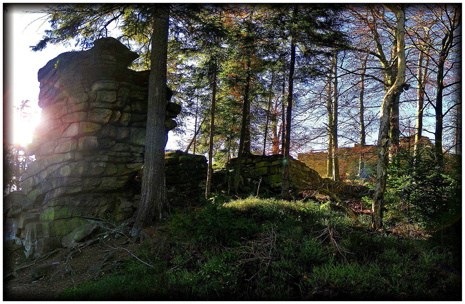 Ruine Hirschstein