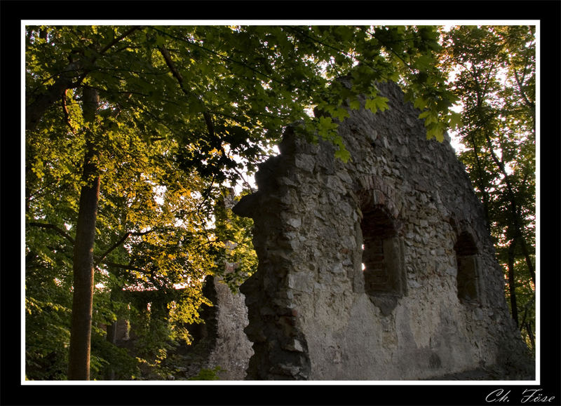 ~Ruine Hochhaus 2~