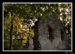 ~Ruine Hochhaus 2~