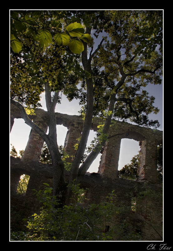 ~Ruine Hochhaus 6~