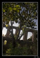 ~Ruine Hochhaus 6~