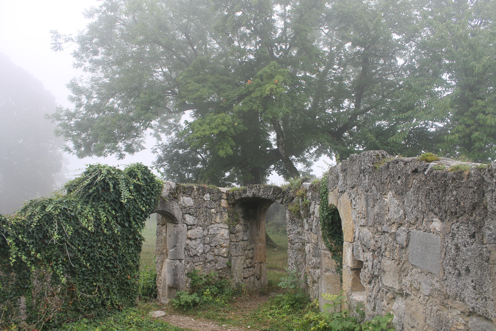 Ruine Hohen Urach