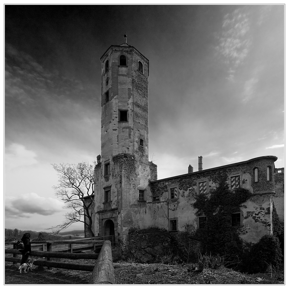 Ruine Hohenegg