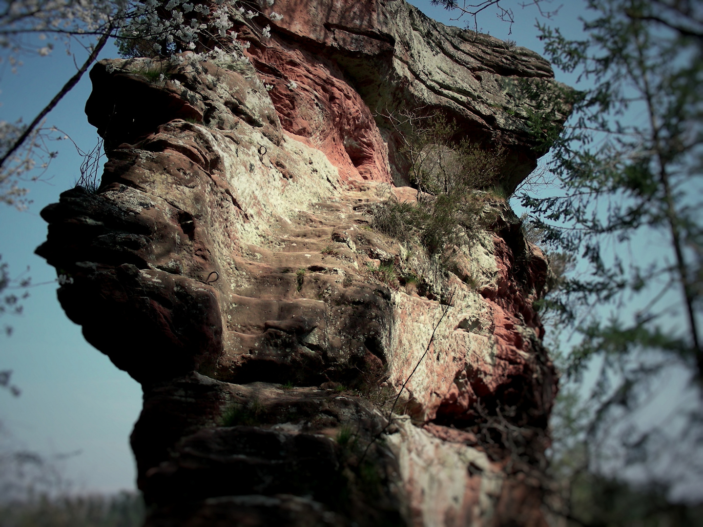 Ruine Hohenfels Dernbach Lothringen