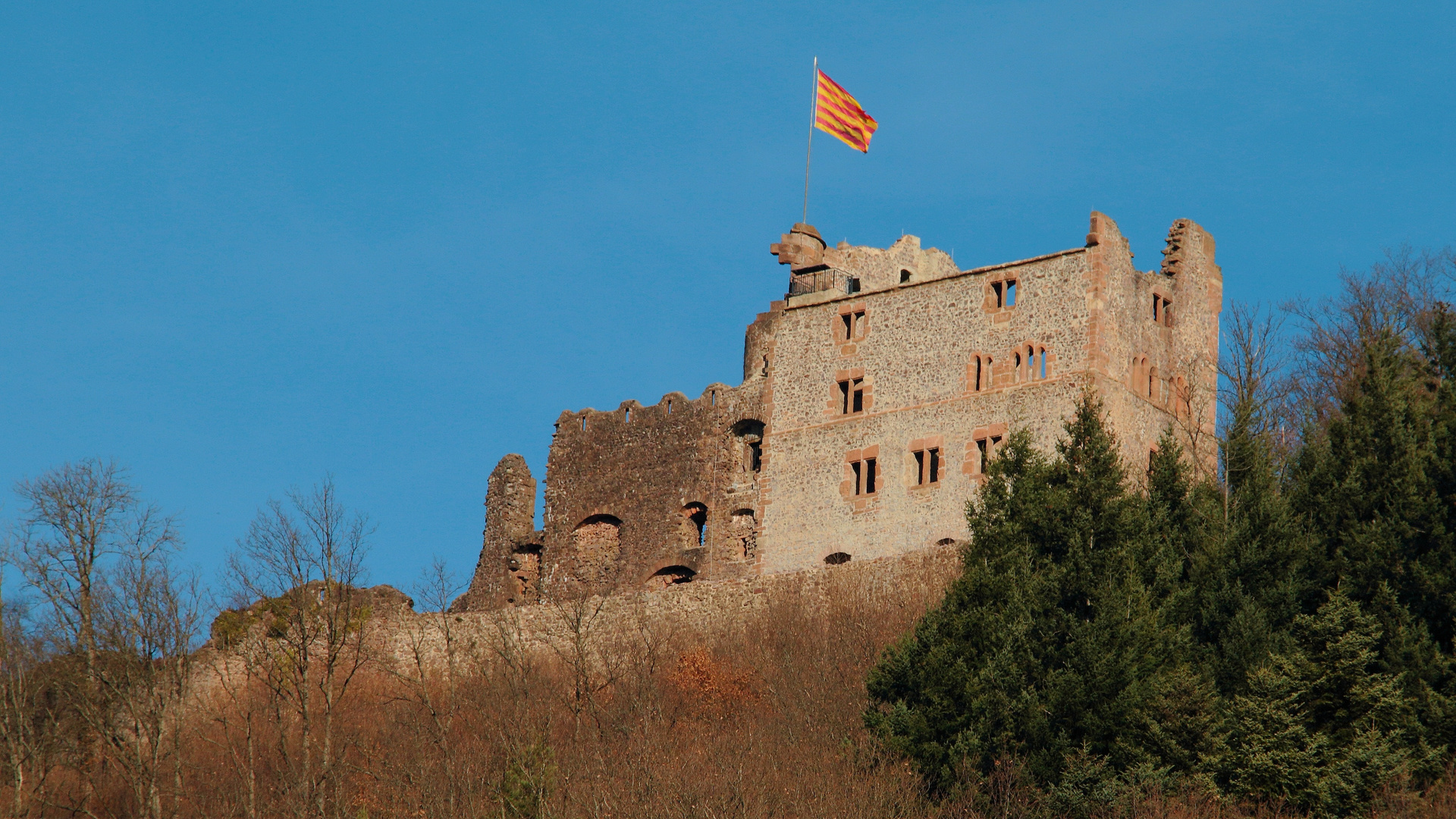 Ruine Hohengeroldseck