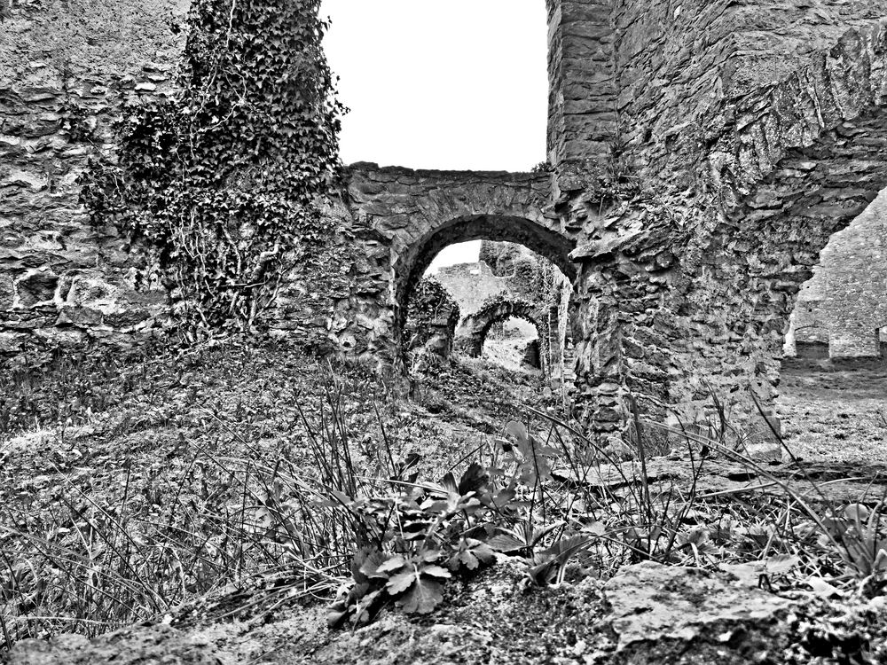 Ruine Hohentwiel (Singen D)